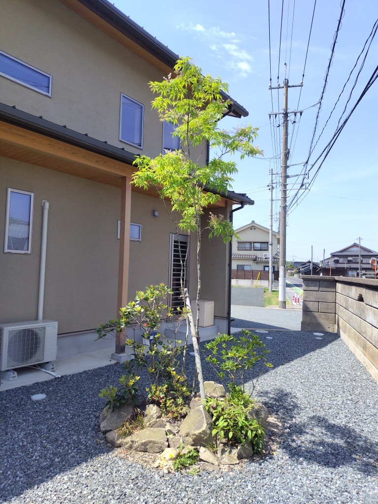 いつの間にか花壇出現 TAKAOZAIMOKUのブログ 写真2