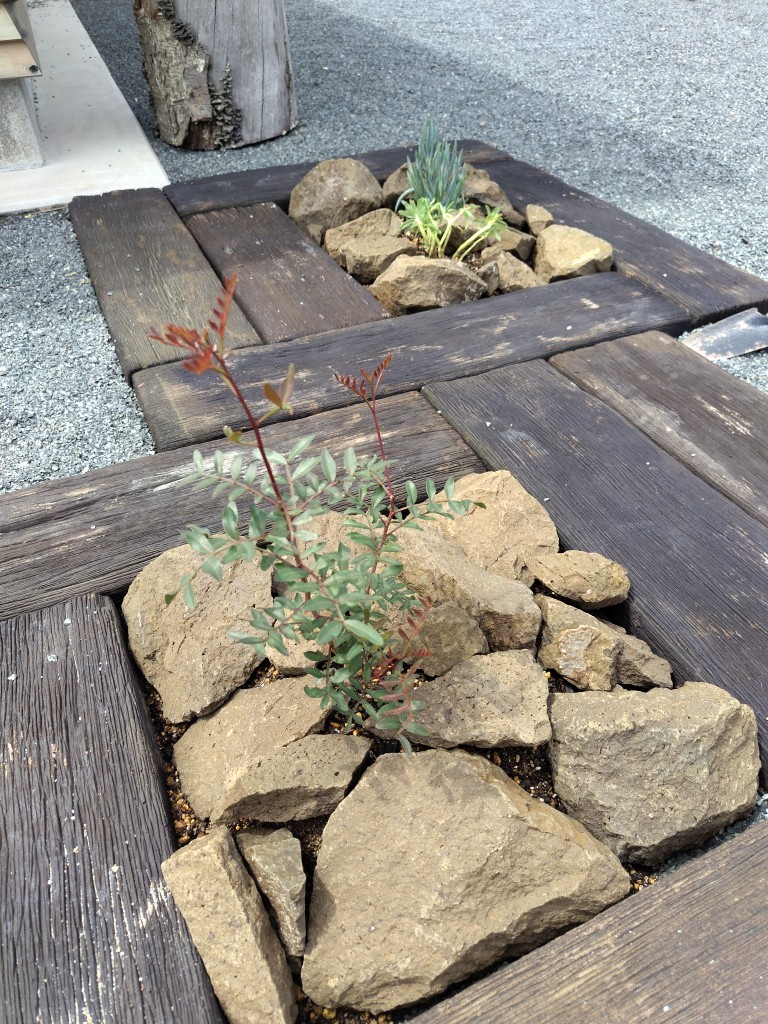 いつの間にか花壇出現 TAKAOZAIMOKUのブログ 写真4
