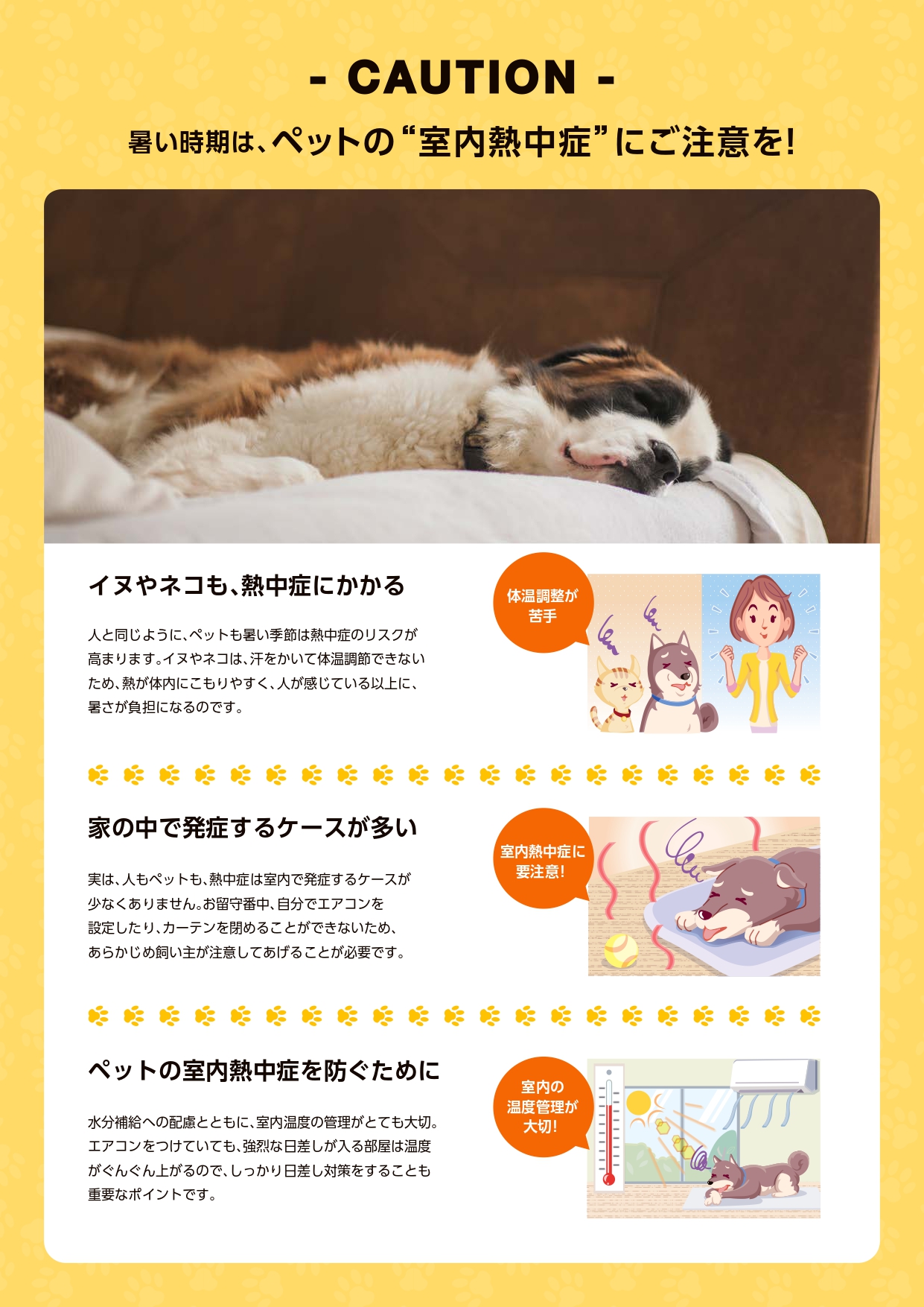 ワンちゃんのお留守番中、お部屋の暑さは大丈夫? クリエイトのブログ 写真2