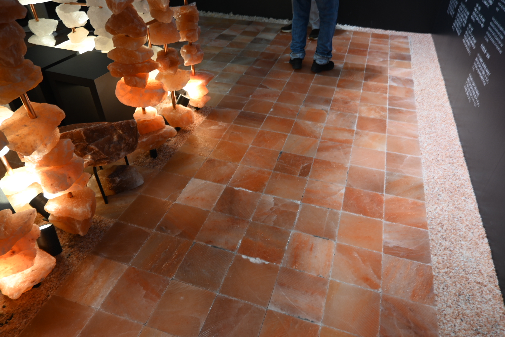 代表ブログ|大阪万博訪問記 鳥飼トーヨー住器のブログ 写真19