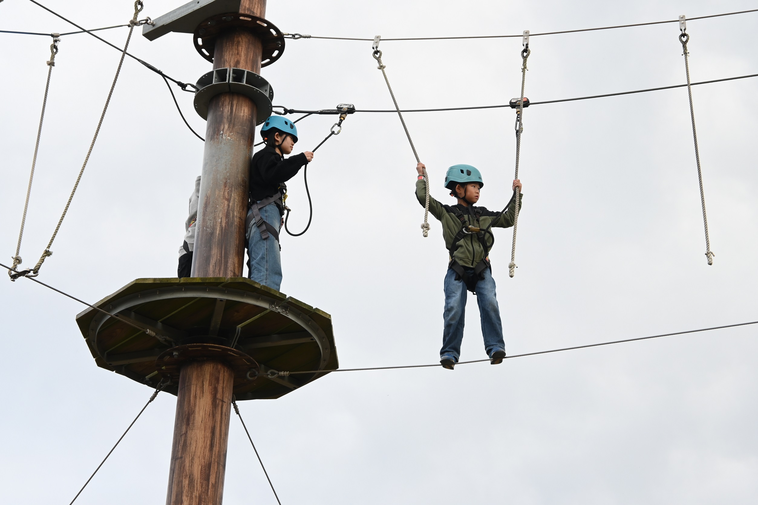 代表ブログ｜淡路島訪問 鳥飼トーヨー住器のブログ 写真3