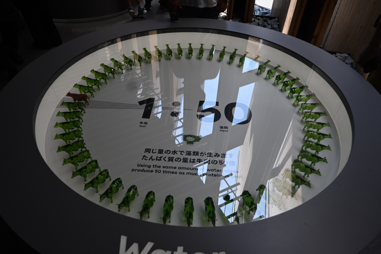 代表ブログ|大阪万博訪問記 鳥飼トーヨー住器のブログ 写真14