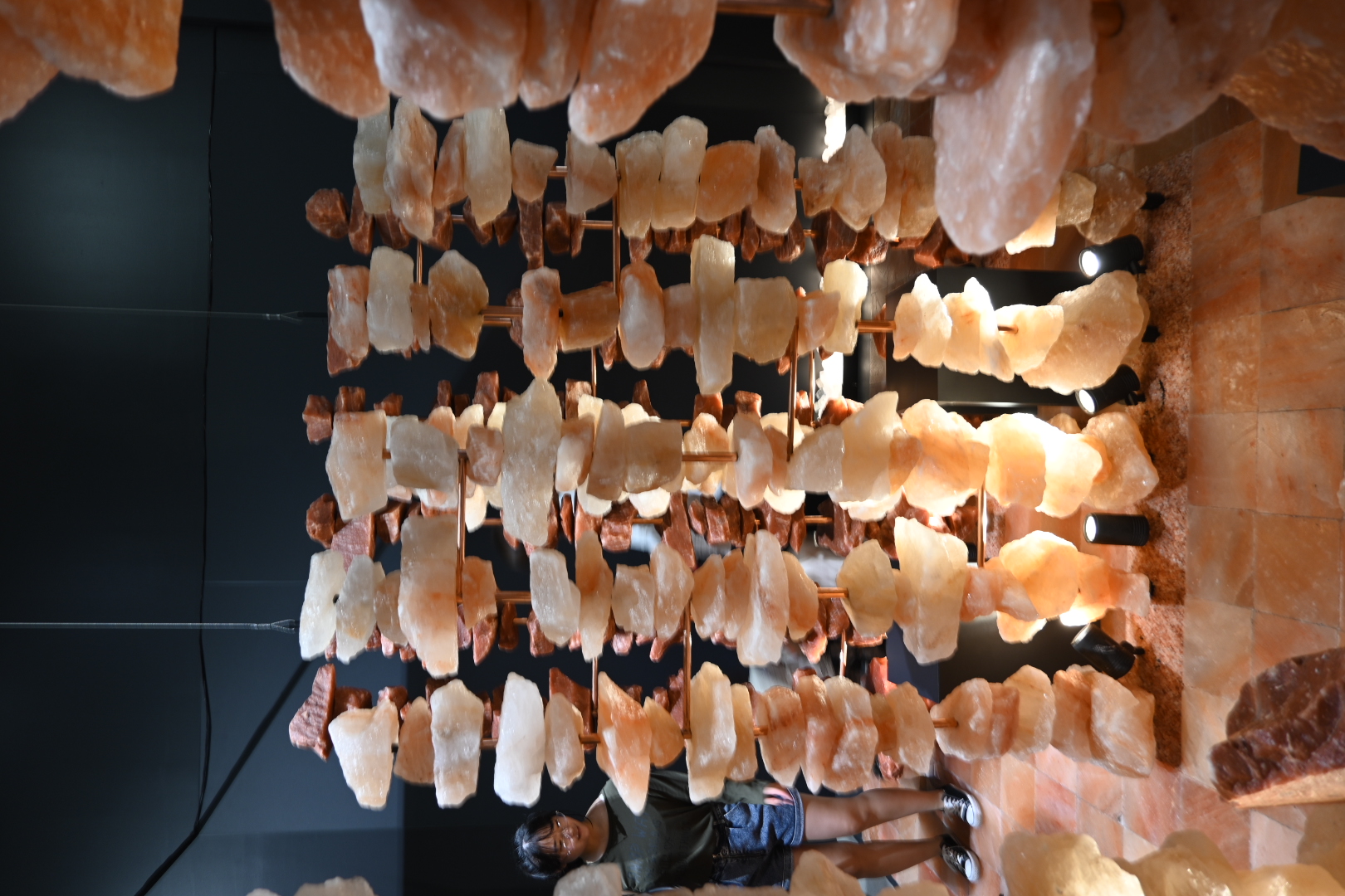 代表ブログ|大阪万博訪問記 鳥飼トーヨー住器のブログ 写真18