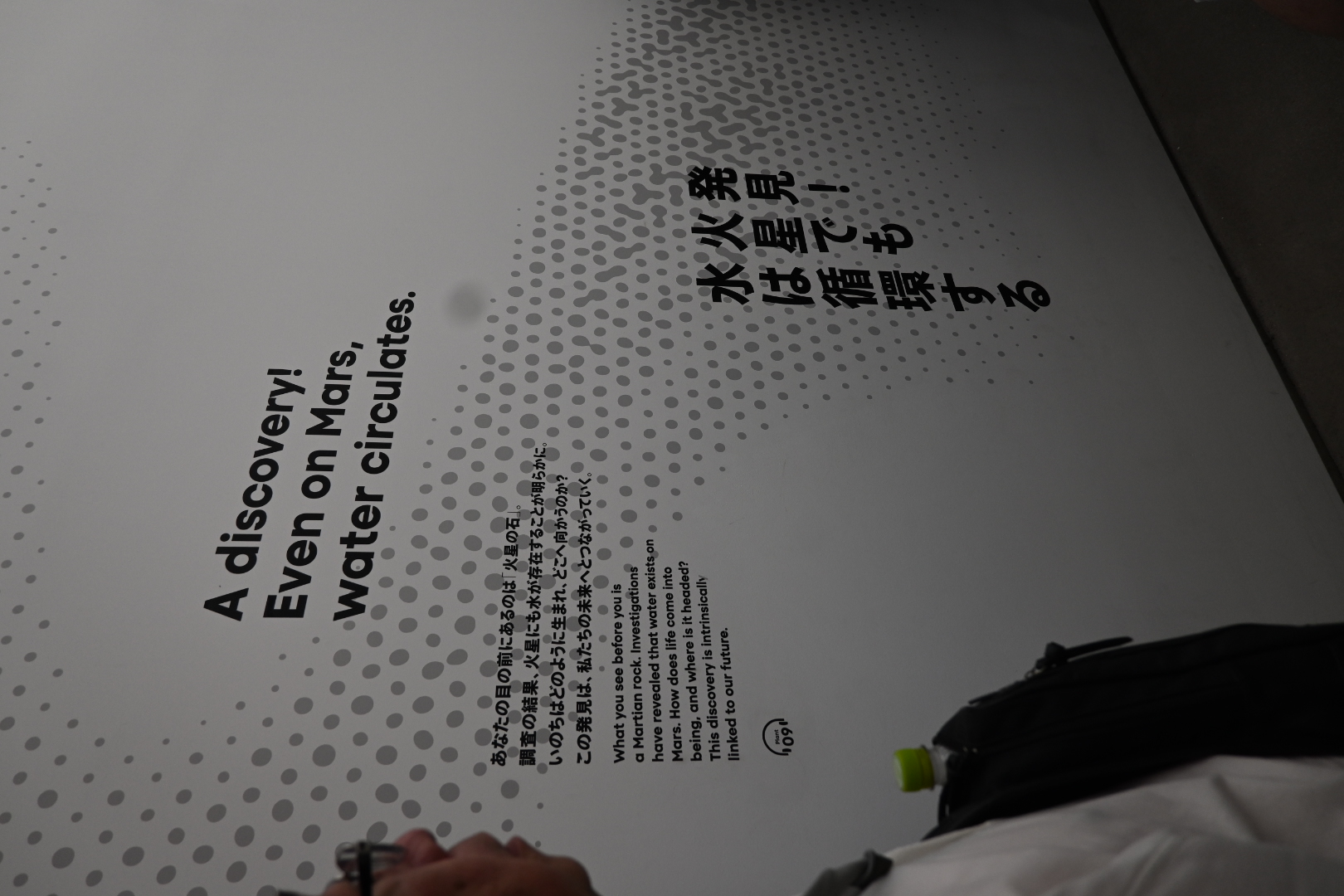 代表ブログ|大阪万博訪問記 鳥飼トーヨー住器のブログ 写真8