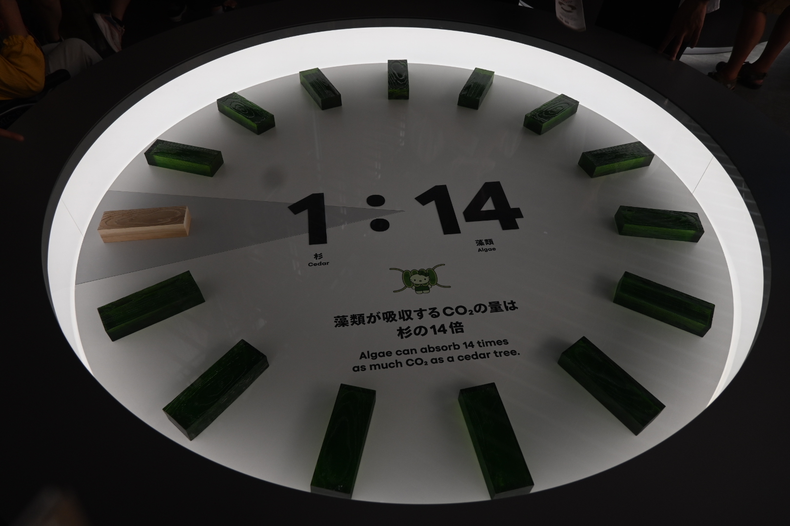 代表ブログ|大阪万博訪問記 鳥飼トーヨー住器のブログ 写真13