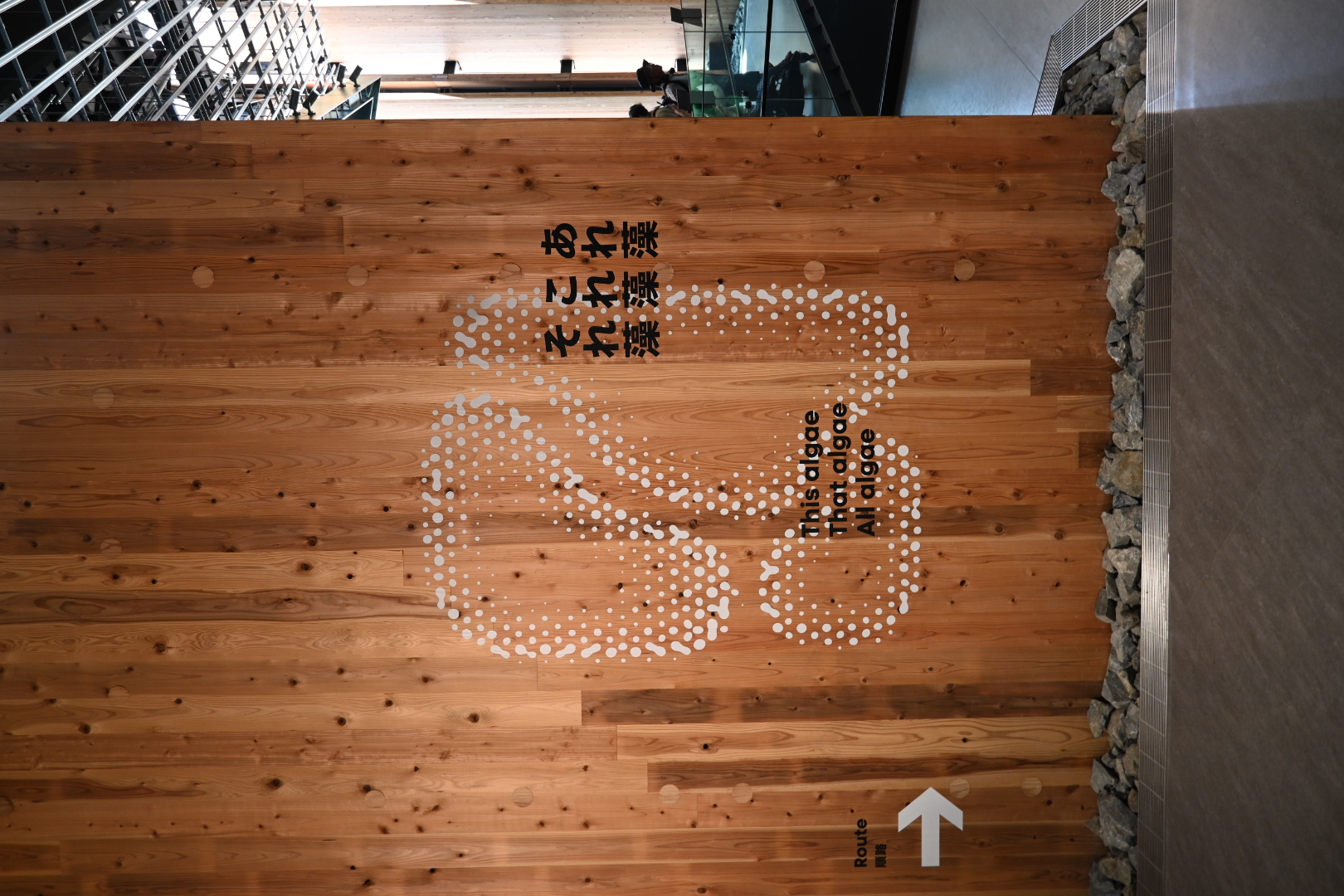 代表ブログ|大阪万博訪問記 鳥飼トーヨー住器のブログ 写真11