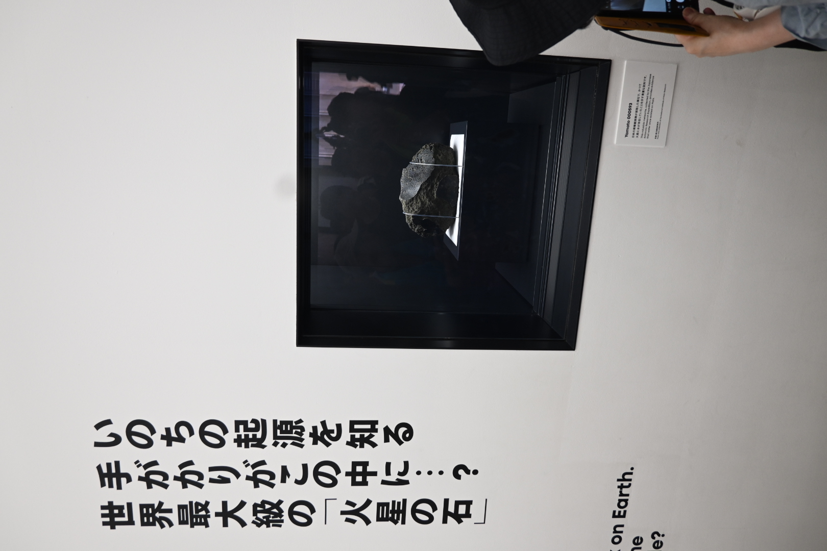 代表ブログ|大阪万博訪問記 鳥飼トーヨー住器のブログ 写真10