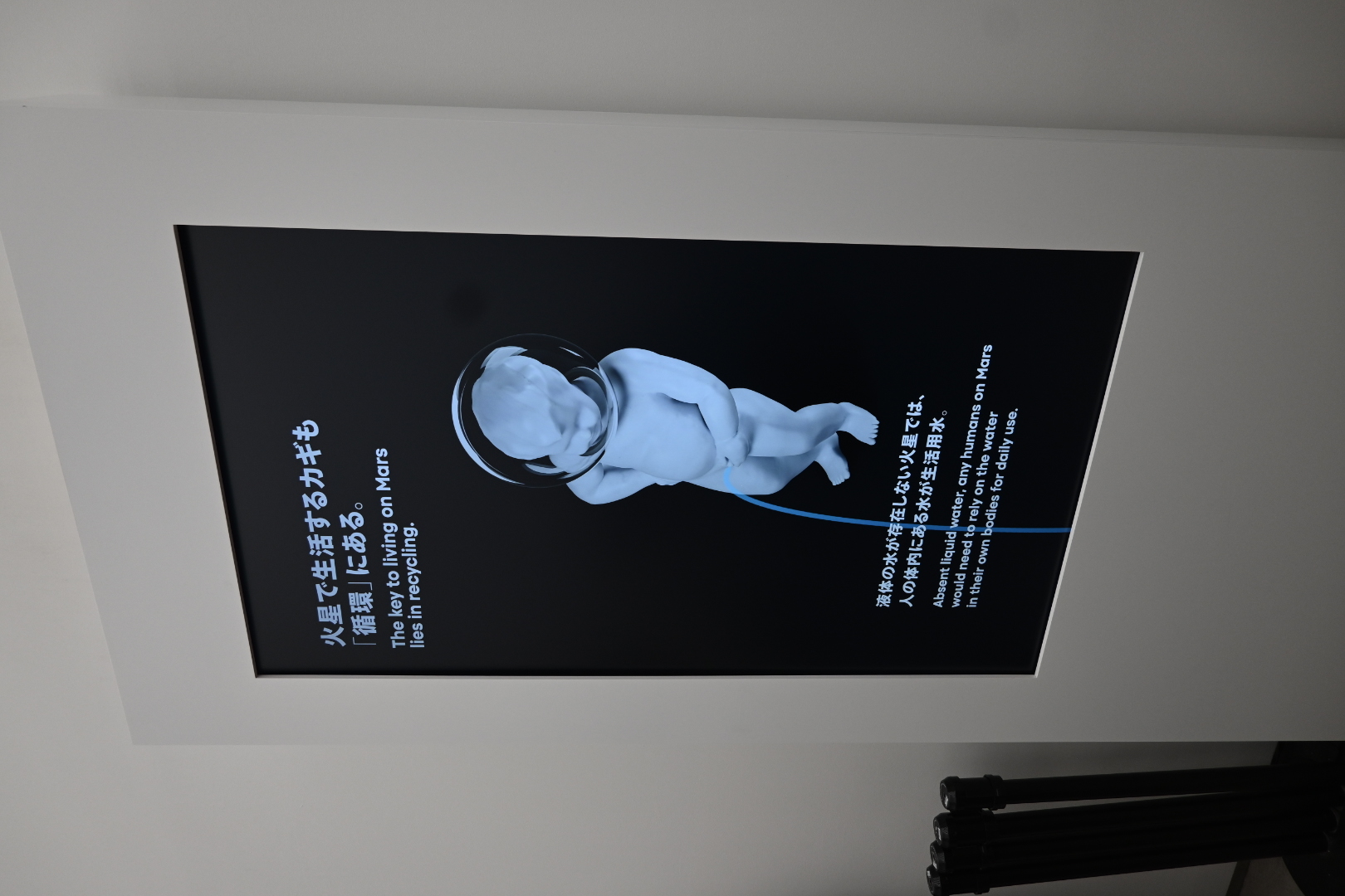 代表ブログ|大阪万博訪問記 鳥飼トーヨー住器のブログ 写真9