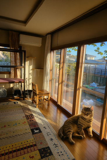 服部硝子店の【四日市市】中窓＆掃き出し窓に内窓インプラス設置｜補助金を活用して“猫ちゃんにも快適な空間”へ施工事例写真1