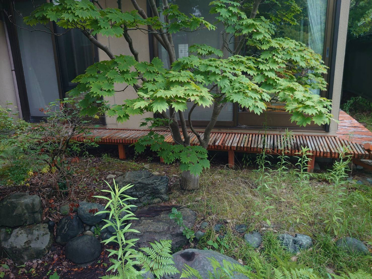 BiSOUの樹ら楽ステージ施工例の施工前の写真2