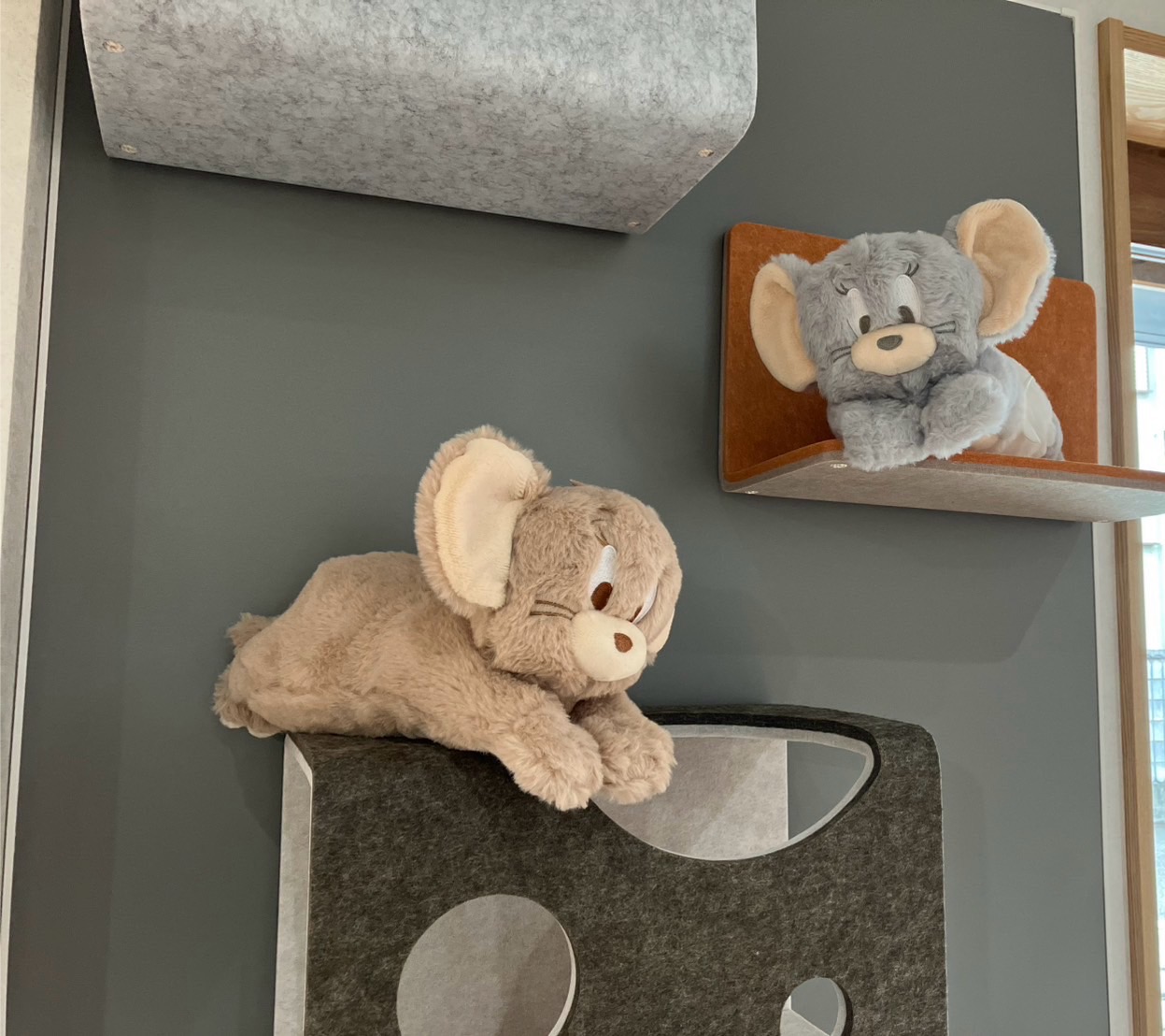 猫ちゃんのくつろぎスペース♡ マド・デ・リフォームのブログ 写真1