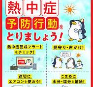 暑い日が続きますが皆さん元気ですか! きゅうだいのブログ 写真1
