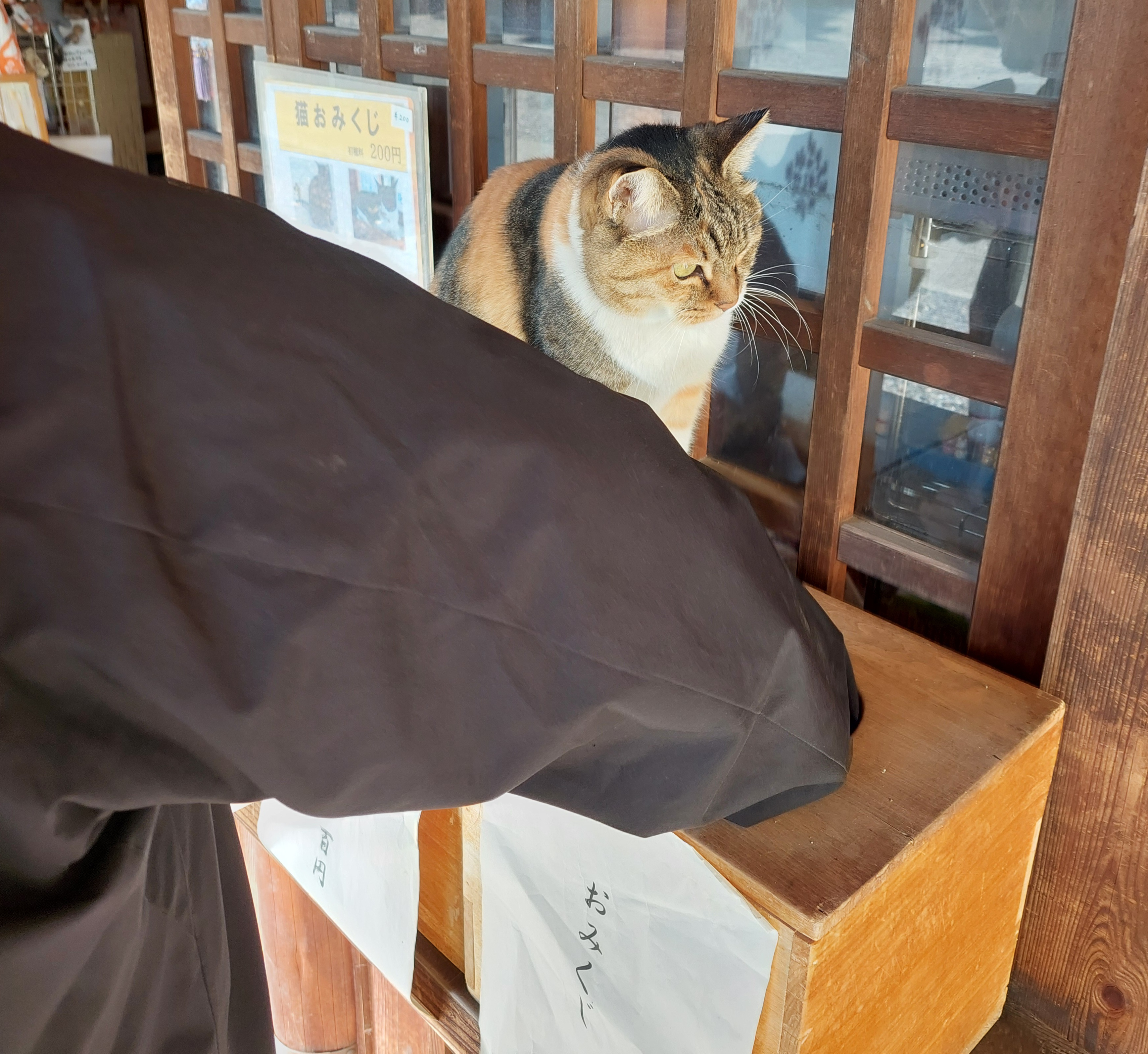 つき初め イワカンＳＧのブログ 写真1