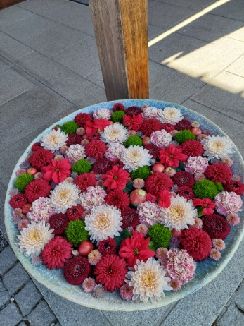 つき初め② イワカンＳＧのブログ 写真1