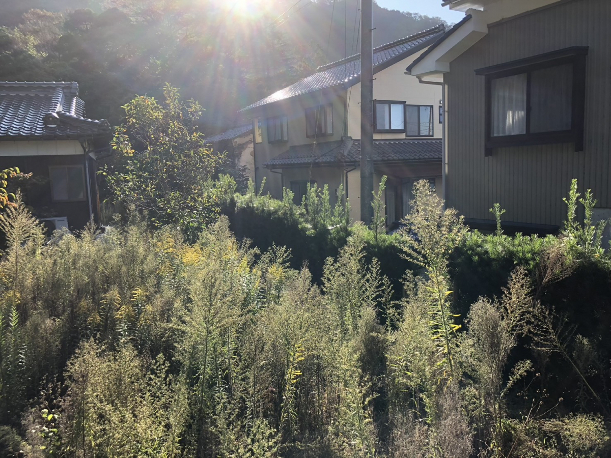 イワイの木からフェンスへ！お手入れ不要でスッキリした境界リフォームの施工前の写真1