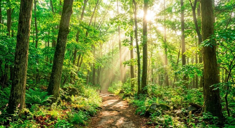 窓の寒さや結露のご相談に｜「開口部グリーン化診断士」とは？ トータスエステート 本店のブログ 写真1