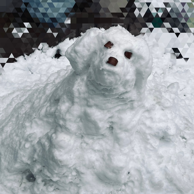 🐶いぬ と ゆきだるま⛄ 大栄のブログ 写真1