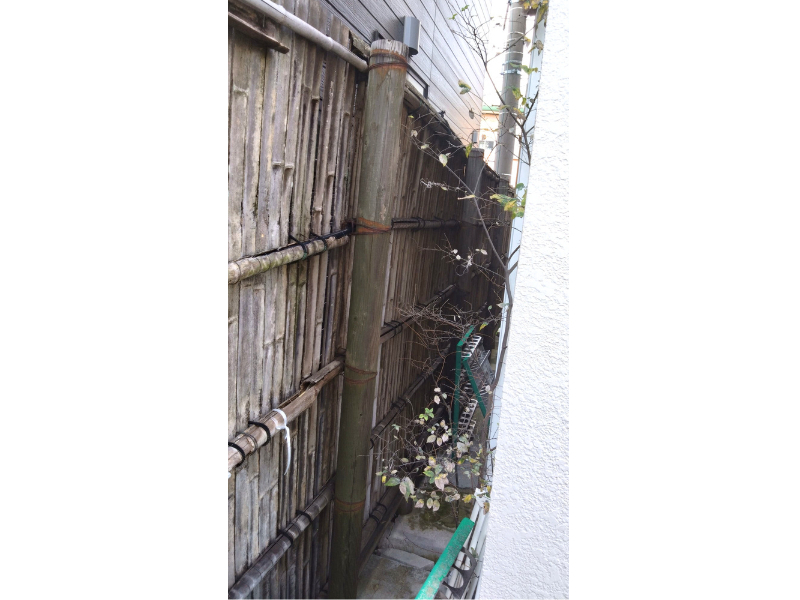 イガラシの【吉川市】竹垣を目隠しフェンスへ刷新！お手入れ不要でモダンな外観にリフォームの施工前の写真2