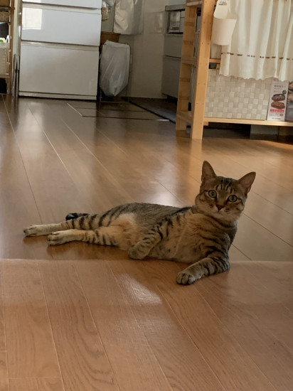 鈴木陽子の写真