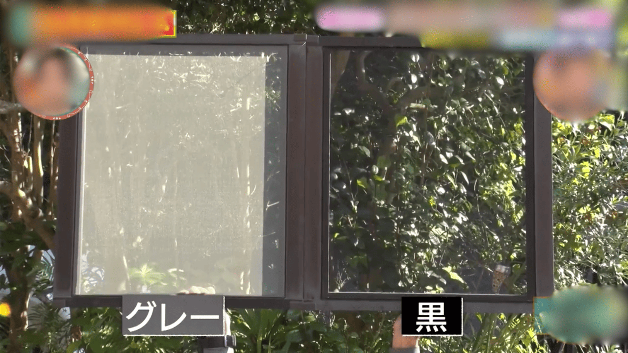 テレビで話題の網戸張り替え！黒い網戸が人気の理由とプロに頼むメリット さぬきトーヨー住器のブログ 写真1