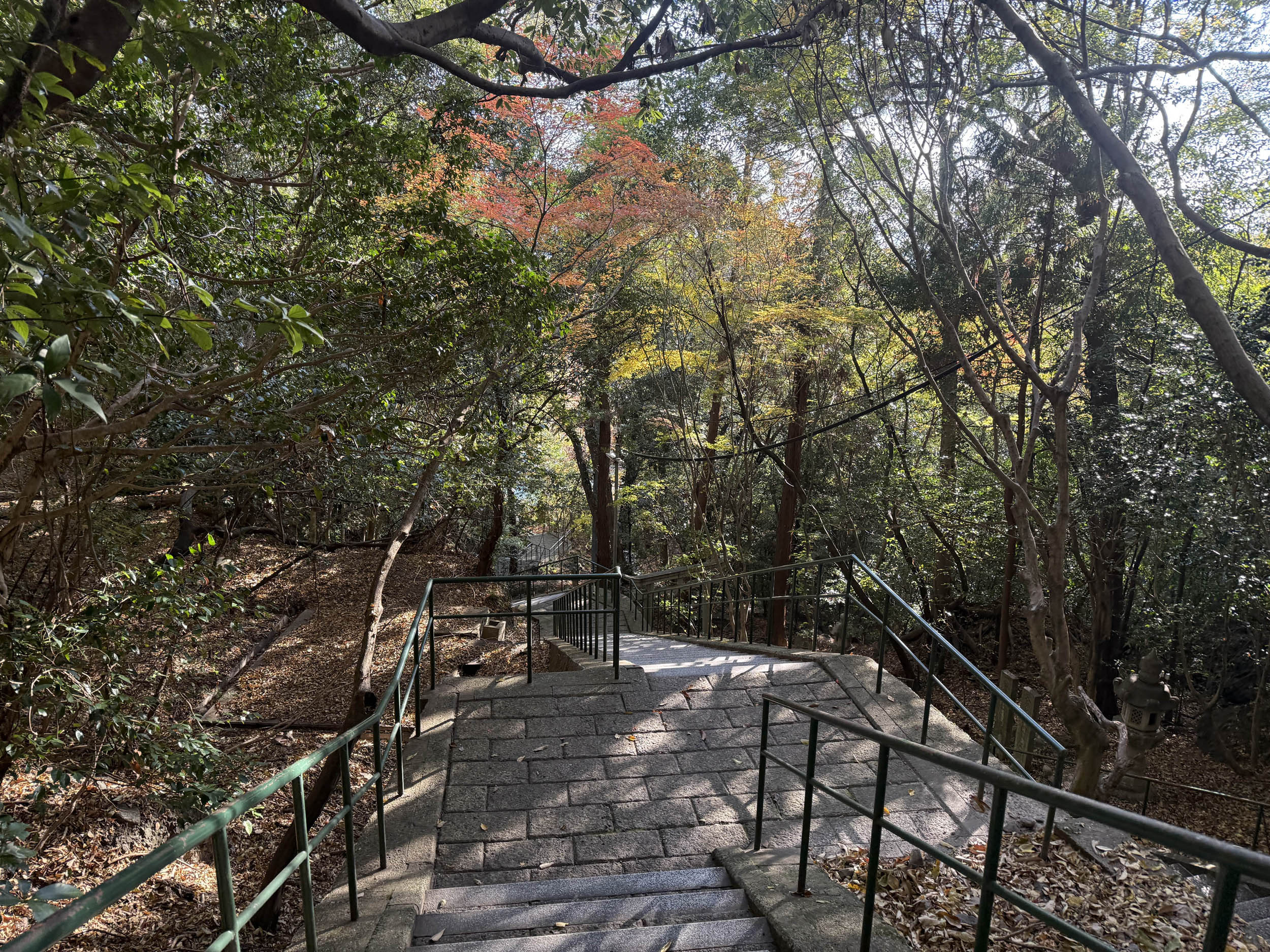 2025年12月のお参り シンデンのブログ 写真2
