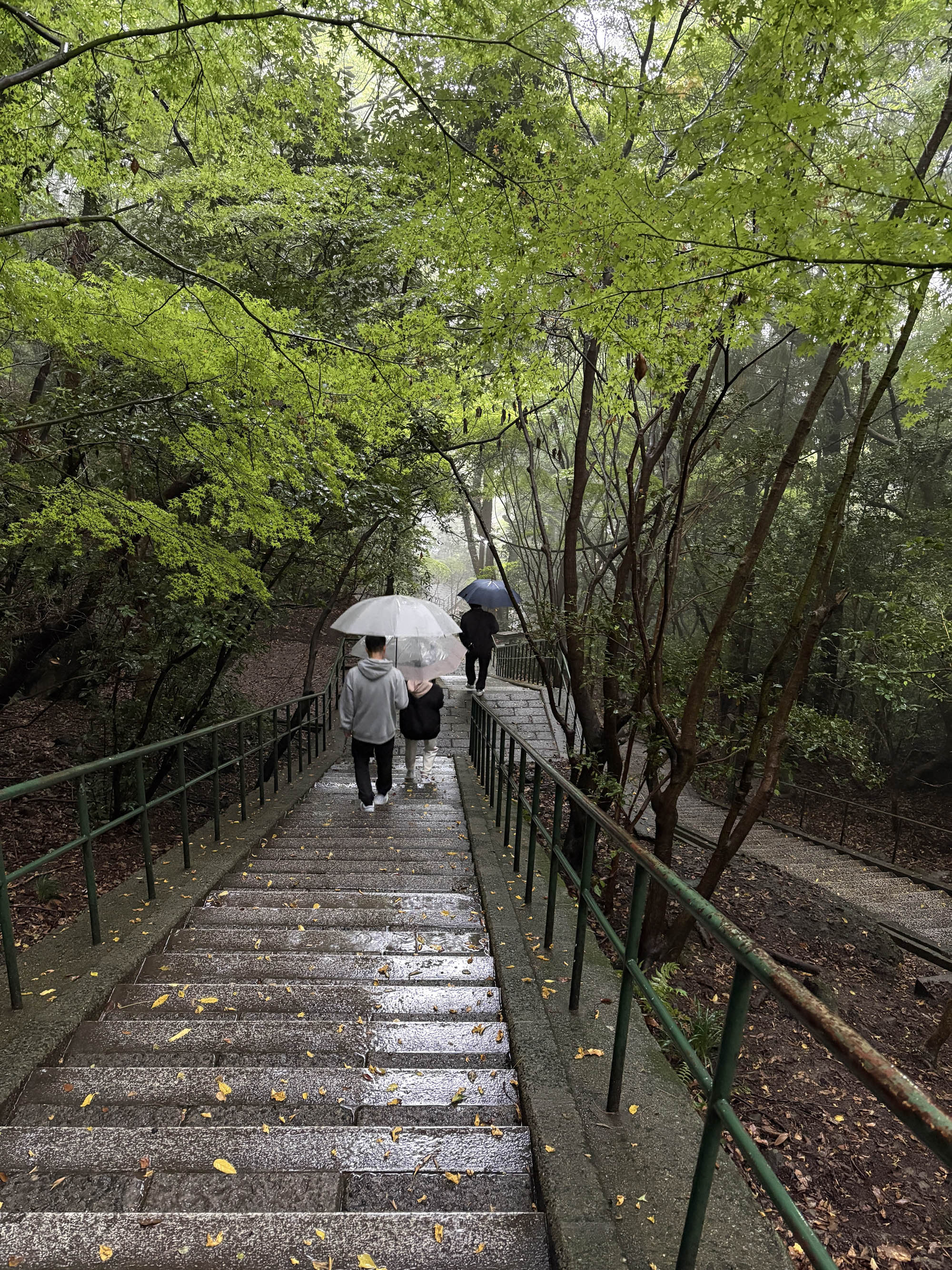 2025年11月のお参り シンデンのブログ 写真2