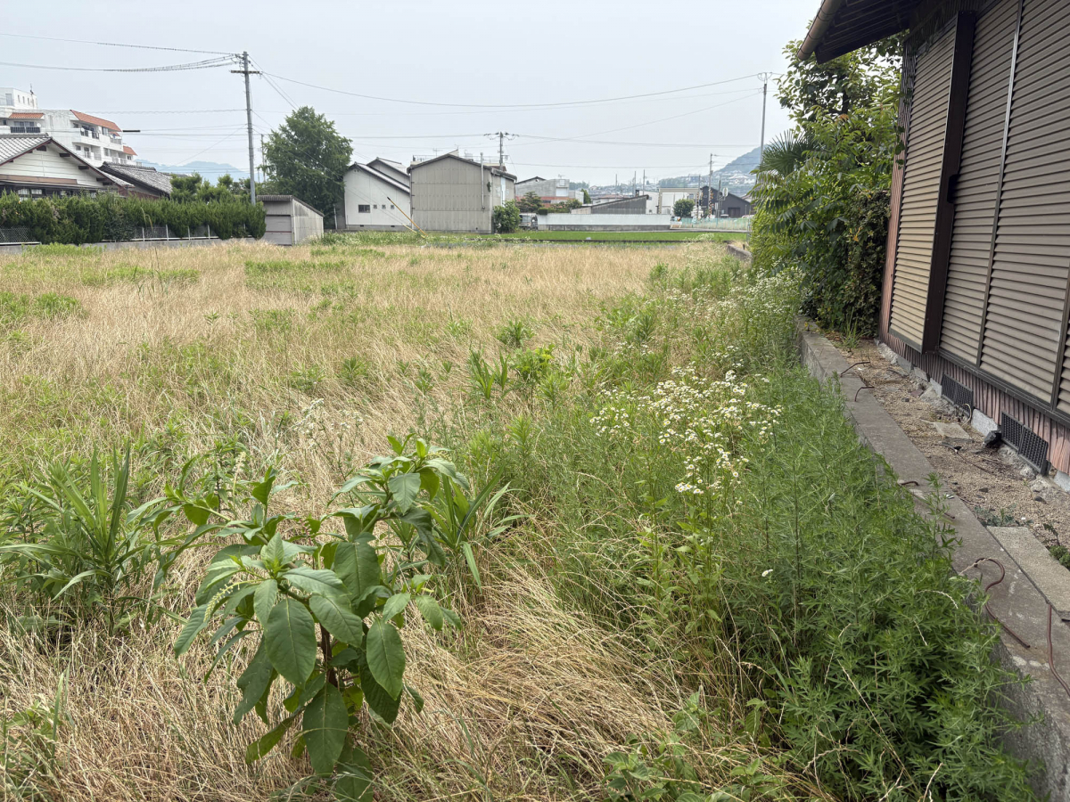 シンデンの休耕地の草刈りの施工前の写真1