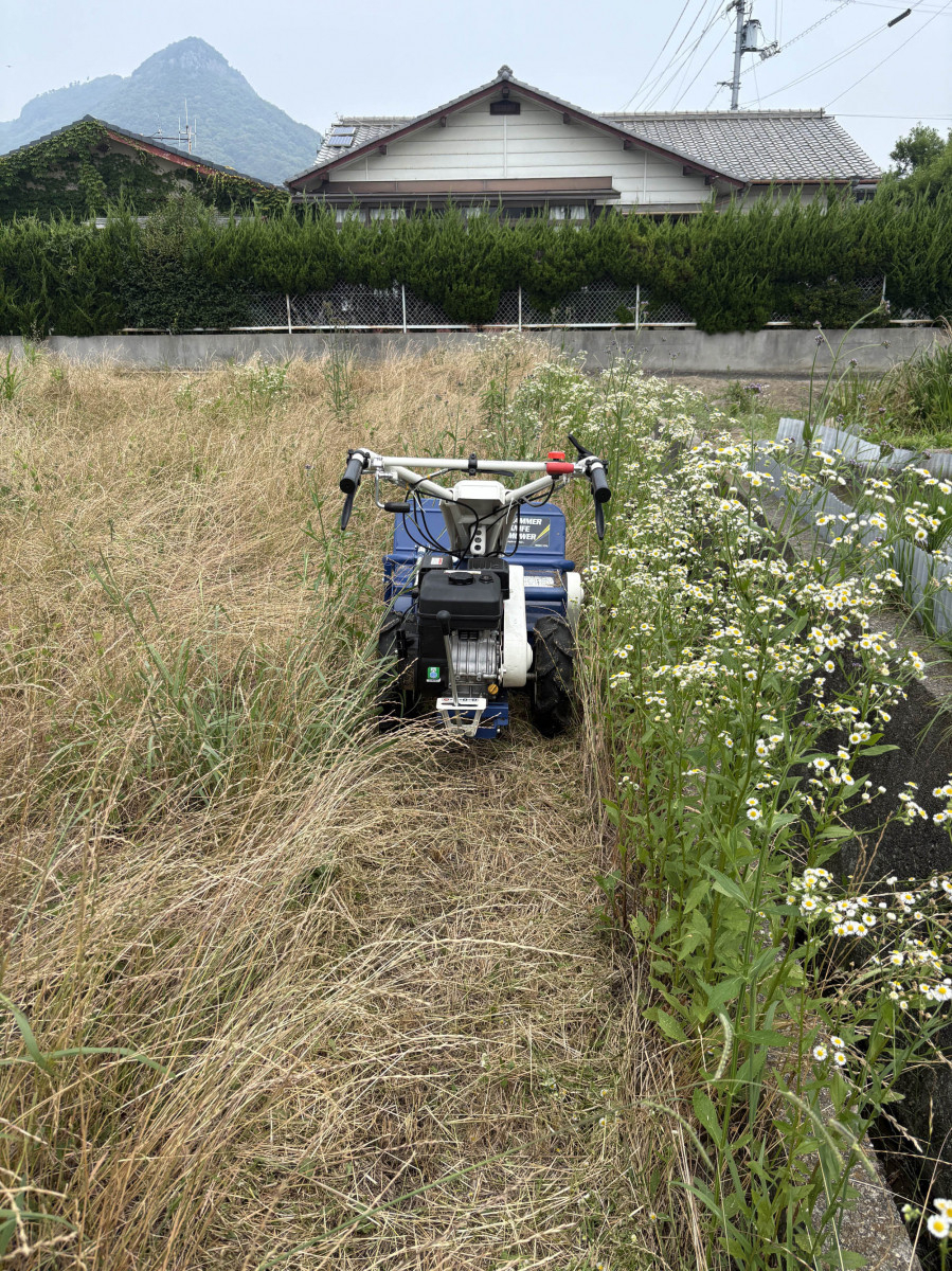 シンデンの〈高松市〉休耕地の草刈りの施工前の写真2