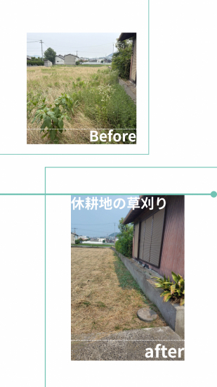 次の事例