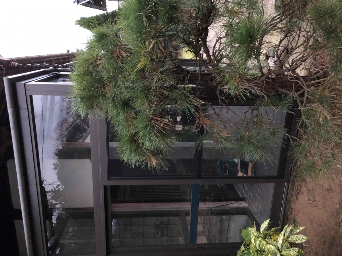 カンセイ蒲郡の雨の日も安心｜岡崎市Y様邸 サニージュで玄関前を快適にの施工後の写真3