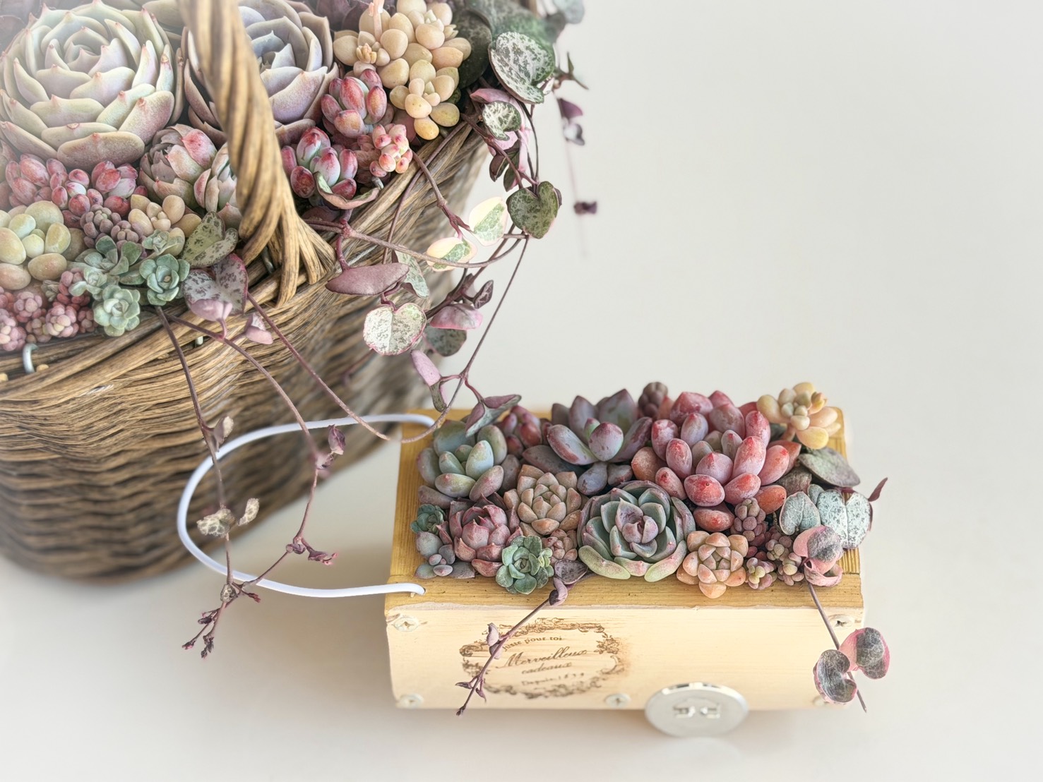 🌸断熱＆防犯トクトクフェア🌸開催中【5月29日まで※約2か月】 トーコー産業のイベントキャンペーン 写真5