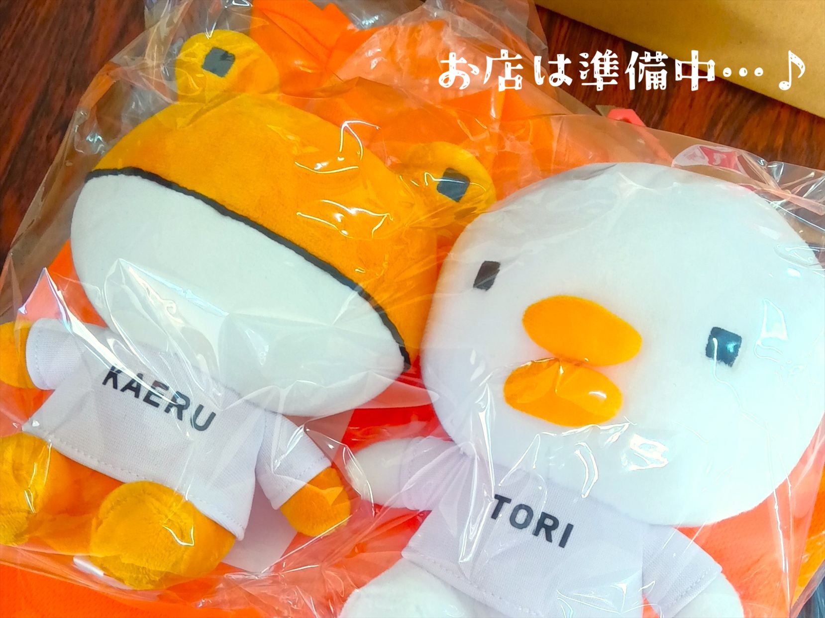 🐥はじめまして！マド本舗 トーコー産業です！🐸 トーコー産業のブログ 写真1