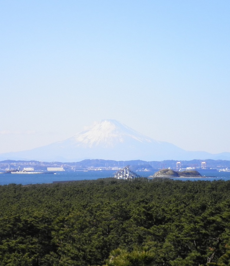 しめじにしか見えん！ 森田建材のブログ 写真1