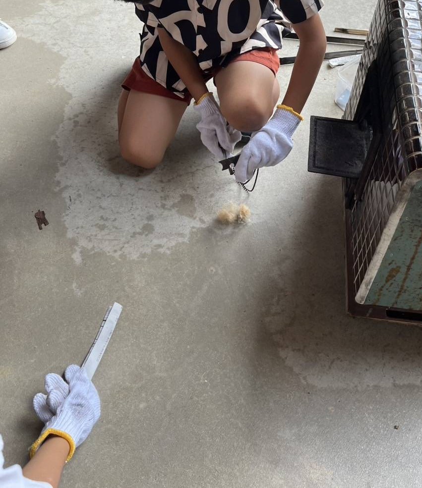 今日から7月🍉 オブハウスのブログ 写真2