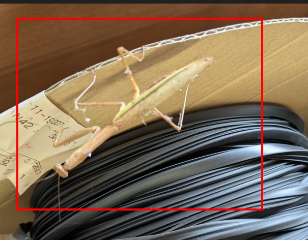 カマキリ オブハウスのブログ 写真1