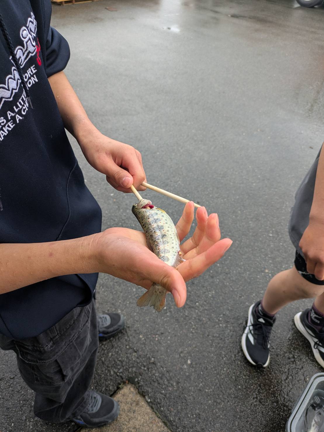 初めての魚調理🐟 オブハウスのブログ 写真1