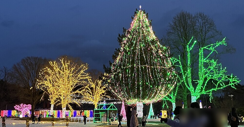 イルミネーション🎄✨ 鎌田トーヨー住器のブログ 写真3