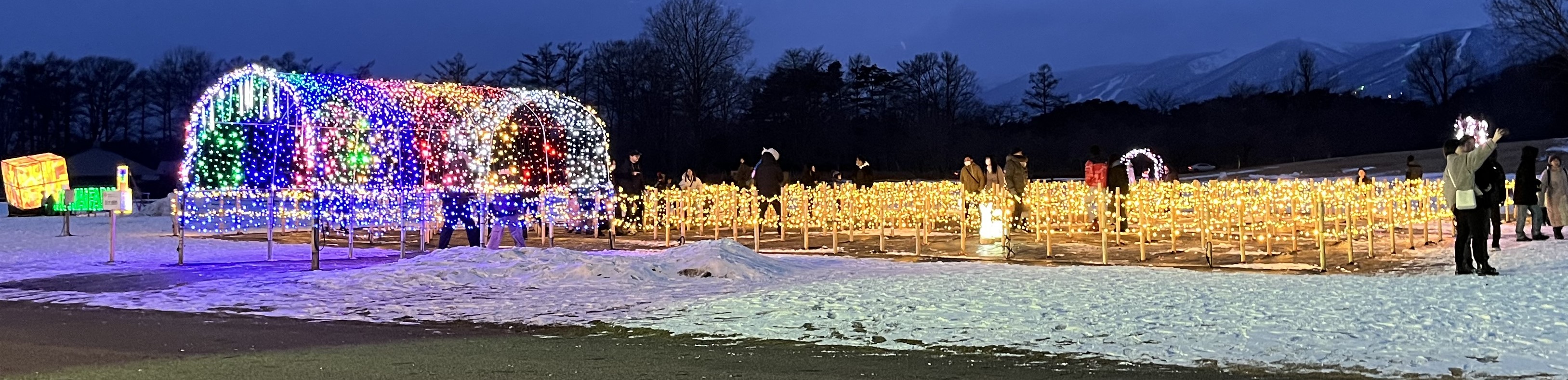 イルミネーション🎄✨ 鎌田トーヨー住器のブログ 写真1