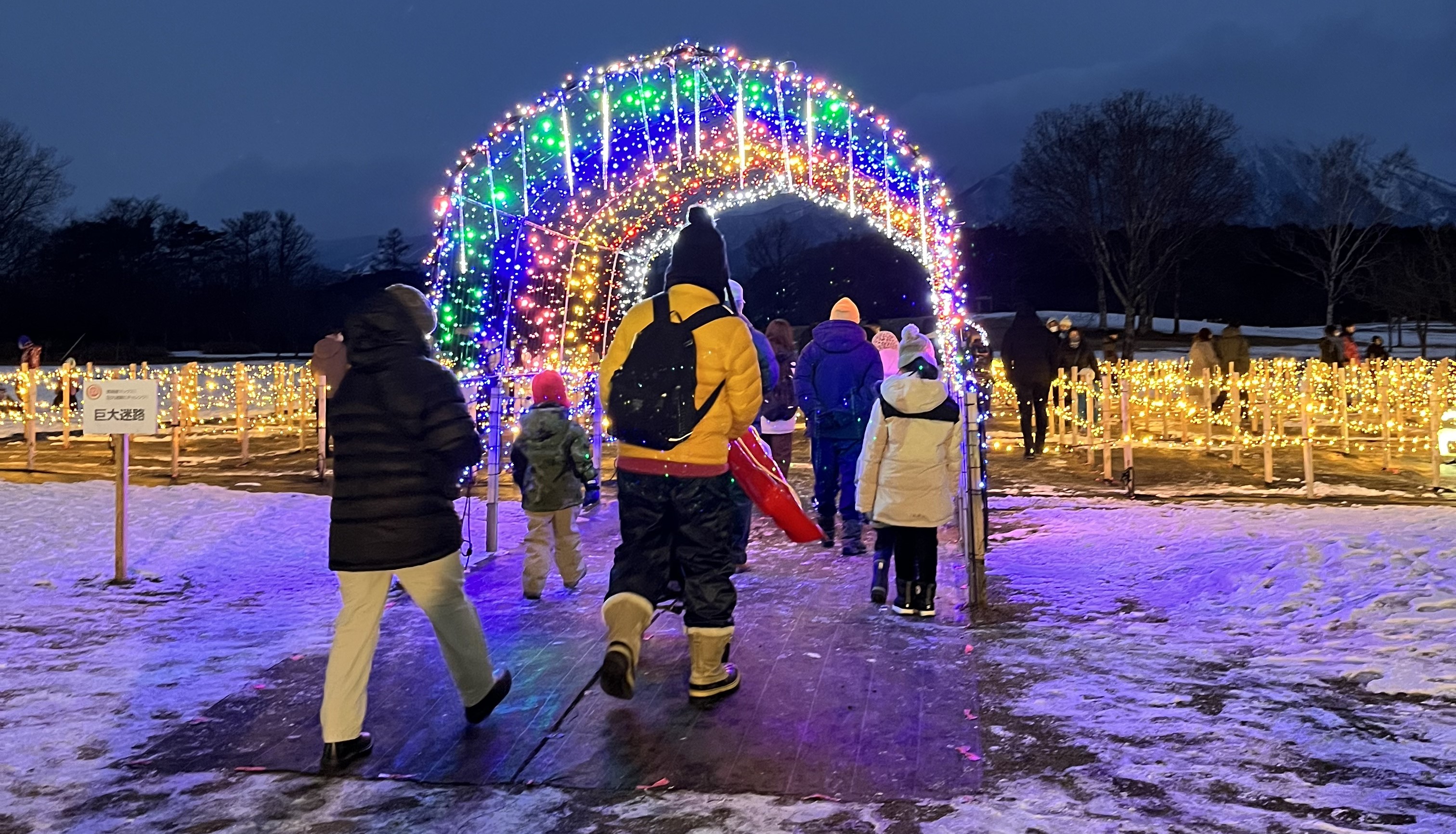 イルミネーション🎄✨ 鎌田トーヨー住器のブログ 写真2