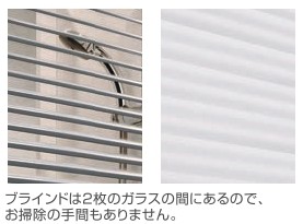 インプラス～デザイン性～ 鎌田トーヨーのブログ 写真3