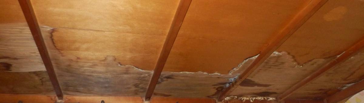 鎌田トーヨー住器の【黒石市】雨漏り…😨屋根補修しました！の施工前の写真3