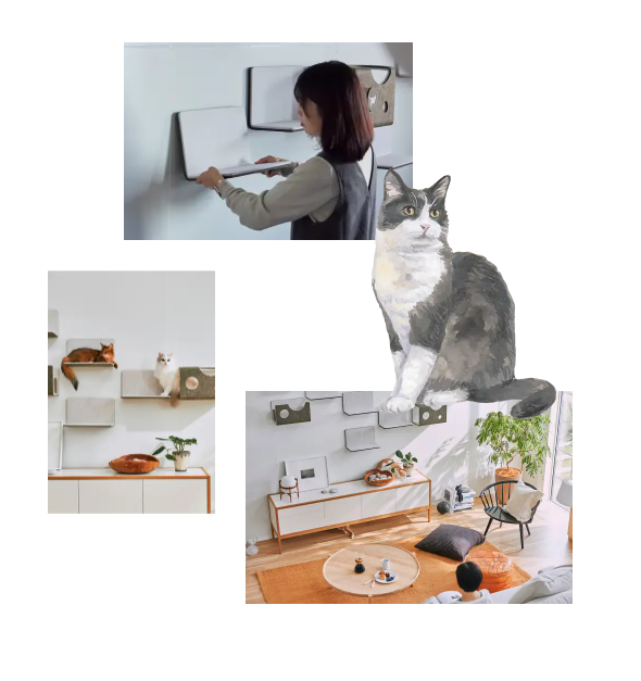 猫壁と書いてにゃぺきって読みます サントーヨー住器のブログ 写真4
