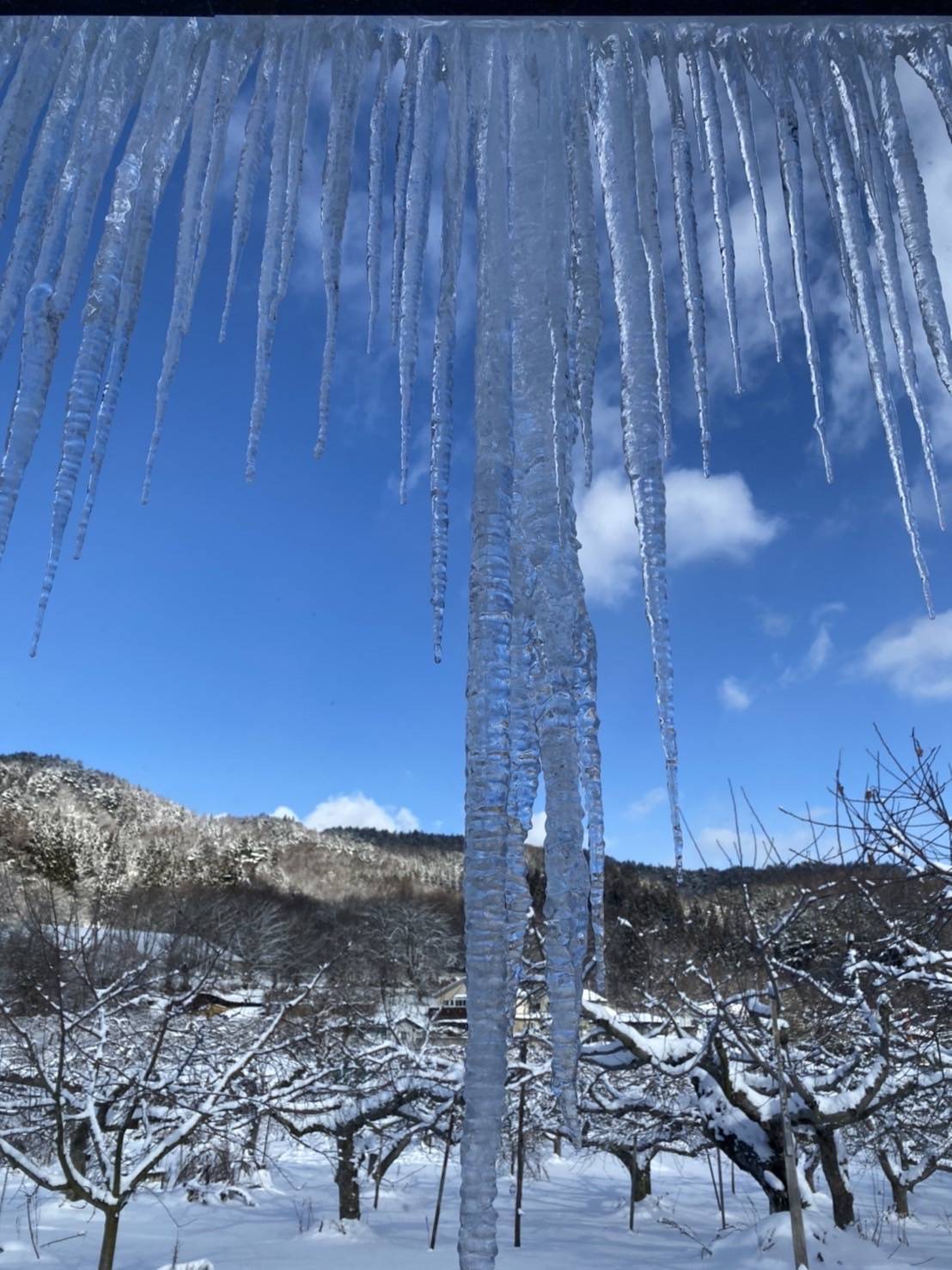 氷柱🧊 サントーヨー住器のブログ 写真1