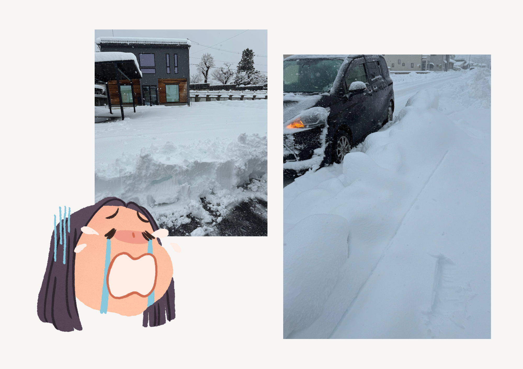 大雪… サントーヨー住器のブログ 写真1