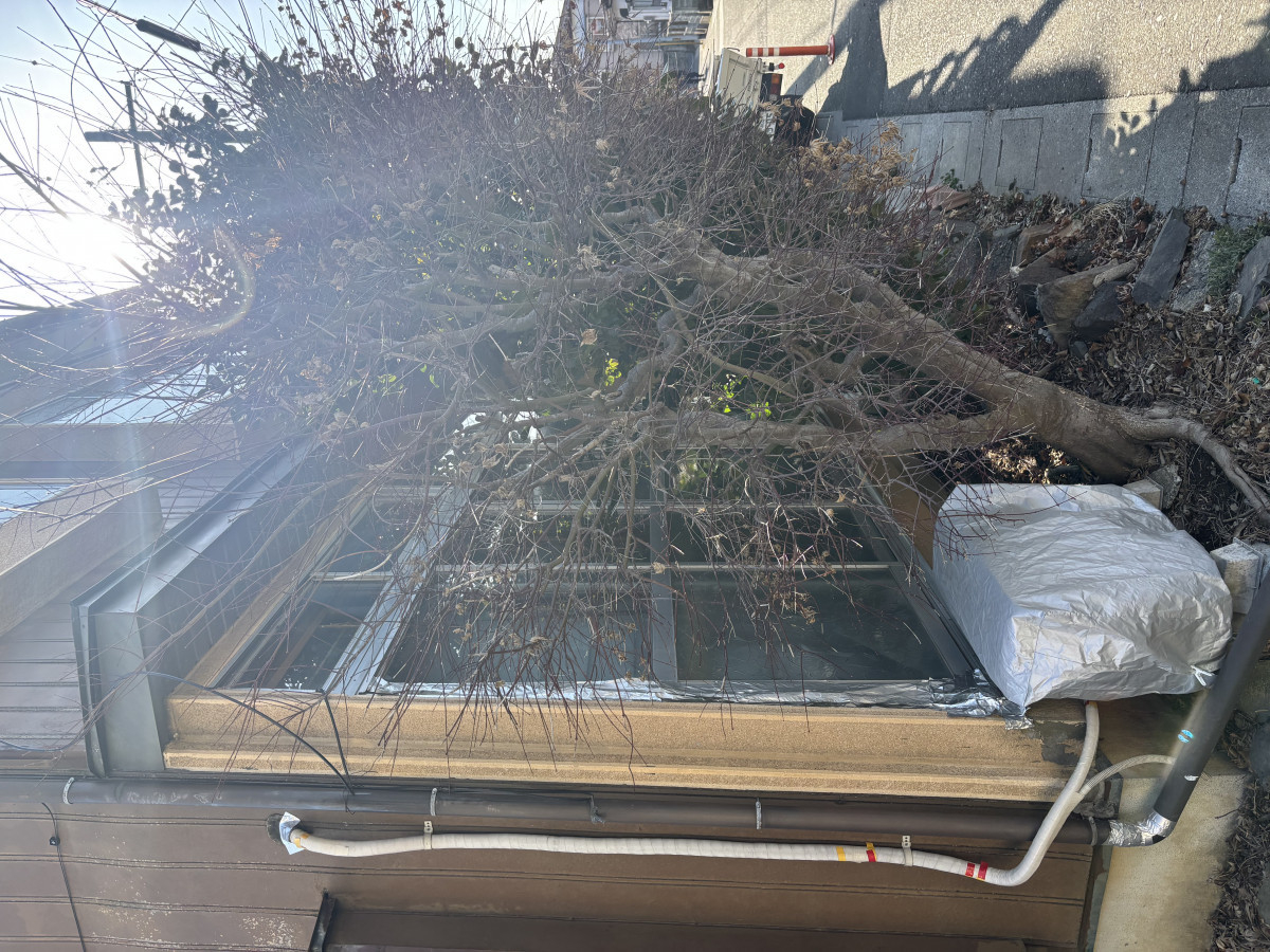 サントーヨー住器の【八戸市】地震で歪んだ窓を交換｜災害修繕支援制度を活用した窓リフォームの施工前の写真2