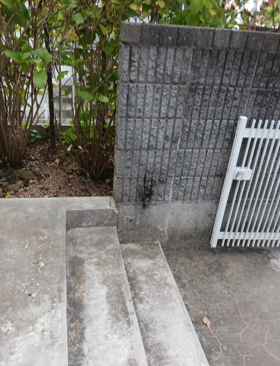 ダイカクヤ 仙台の外階段に手すりを取付したい！！！　仙台市の施工前の写真3