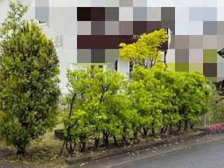 ダイカクヤ 仙台の【フェンス・ゲート・駐車場増設】お庭の一部を駐車場に!!!富谷市の施工前の写真2