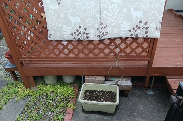 ダイカクヤ 仙台の【サンルーム】テラス・デッキからサンルームへ　サニージュ工事　仙台市の施工前の写真2