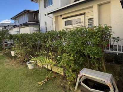 ダイカクヤ 仙台の【フェンス】植栽撤去してアルミフェンスへ　仙台市の施工前の写真2