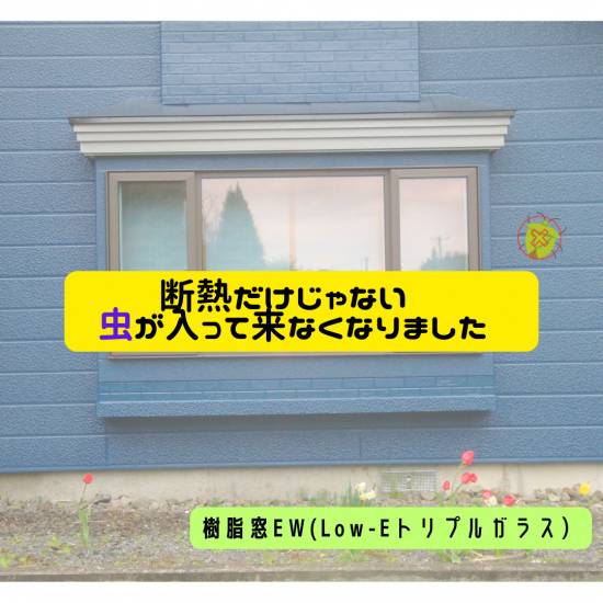 ヒロトーヨー住器の【むつ市】先進的窓リノベ補助金を使って寒さ対策と一緒に〈虫対策〉施工事例写真1